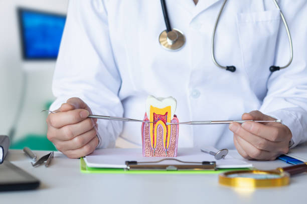 Best Emergency Dentist for Knocked-Out Tooth in Del Aire, CA